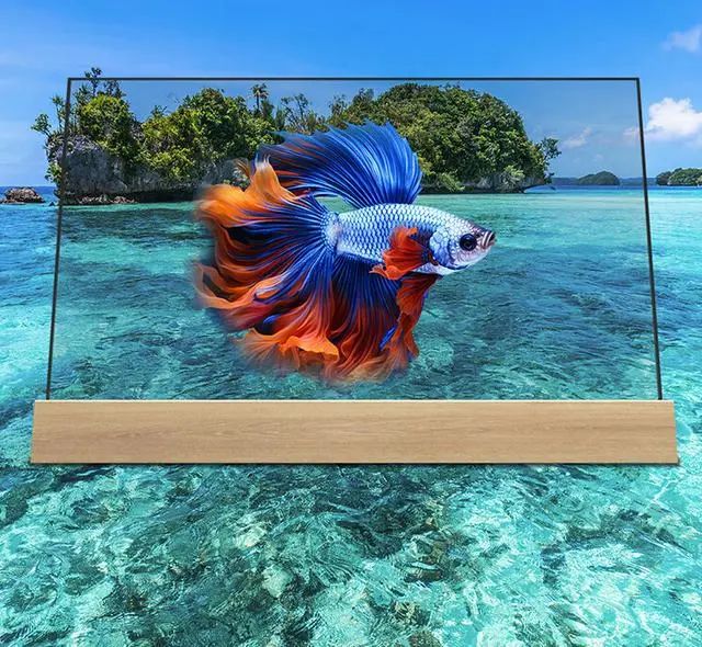 飛利浦推出55英寸透明OLED電視，售價66900元