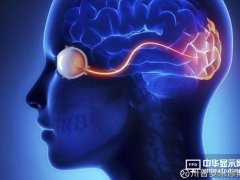OLED行業(yè)漫談之三：OLED其實(shí)是個(gè)偏科的孩子